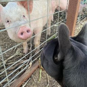 Meet your Posher, Karissa